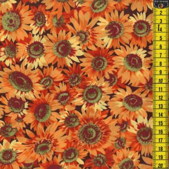 Sunflowers, Sonnenblumen, klein, Orange 