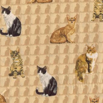 Cats Allover, Beige 