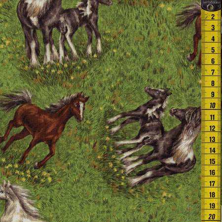 Nature's Corner, Pferde auf der Weide 