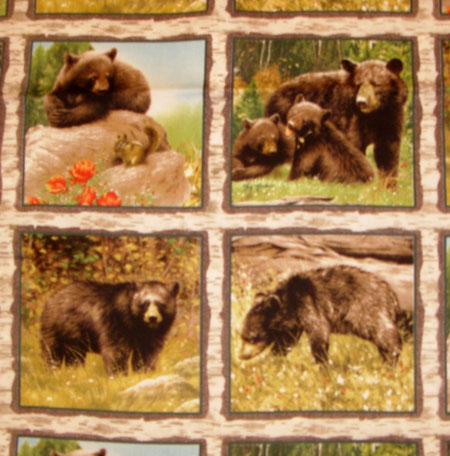 Bear Country - Mini Panele 