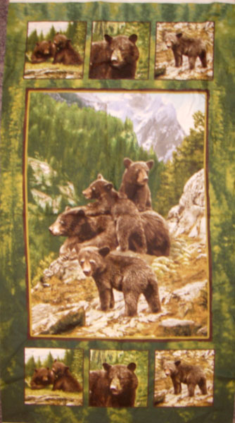 Bear Country - Panel 